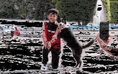 边牧看到小男孩拍照一点笑容都没有，于是它的举动笑喷了....