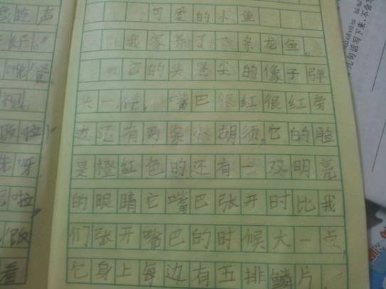 养鱼文化果然还是要靠祖国的花朵来弘扬啊……