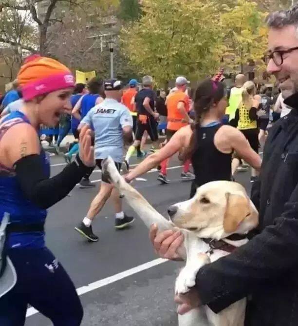 最萌的加油：马拉松比赛，一只狗站在路边跟选手击掌加油