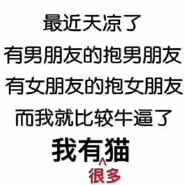 “哼，你男朋友有我猫好吗？”