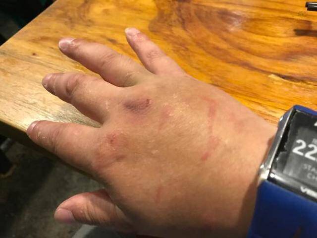 看到流浪狗有意咬主人，拉布拉多立马上前教训保护