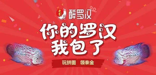 玩拼图，领泰金！