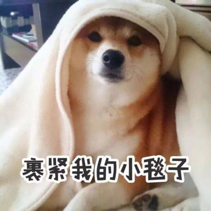 天气好冷，只想裹紧我的小被子~