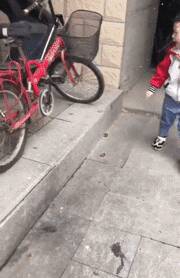 小男孩看见一只趴在墙角的小狗狗，蹲了下去...超暖！