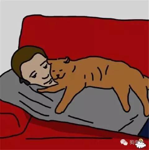 宠物睡觉的位置和姿势说明跟主人的关系，看看你家的是哪一种？