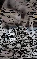 有一种困叫你妈觉得你该碎觉了。 ​​​​。。