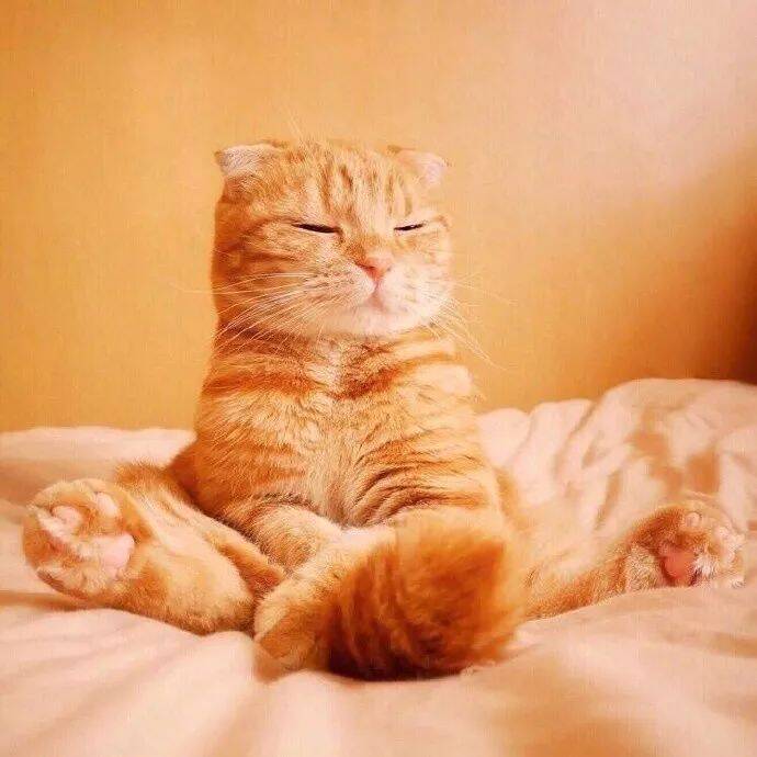 据说这是你女朋友生气的样子……哈哈哈哈萌翻了！