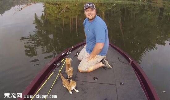 美国男子钓鱼中救上两只被遗弃流浪猫