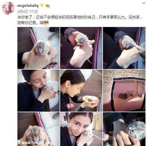 看了baby与胡歌养的宠物 就知道他们是多么可爱逗比