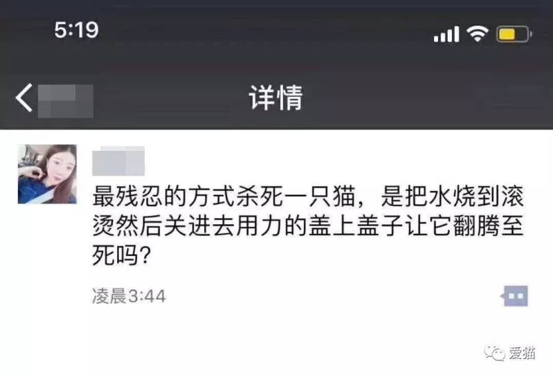 “你用猫开玩笑博眼球的样子，真丑！”