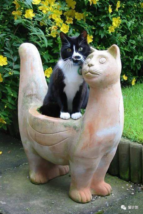真的是连石像都有猫了，别说你连石像也要嫉妒！