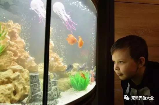 8岁“孤独”男孩给普京写信求宠物，意外得到一箱观赏鱼