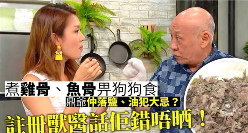 TVB宠物节目遭投诉，观众质疑嘉宾制作的宠物食品不健康