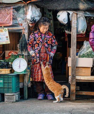 这组奶奶和橘猫的照片，温暖了好多人！