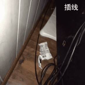 伺候主子这么久，可算能帮铲屎官干点儿活了！