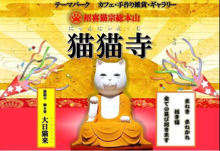 日本人吸猫走火入魔，开设“猫猫寺”！