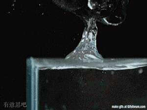 狗是怎么用舌头舔上来水的？