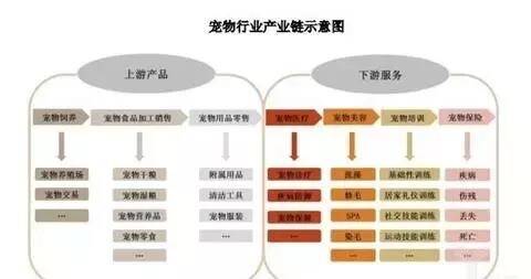 安安宠医专家委员会正式成立 助力行业发展