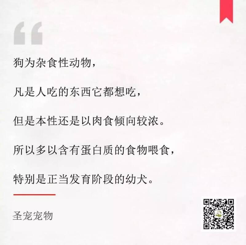 【荐读】给狗狗吃什么最好？狗狗的三大营养要素