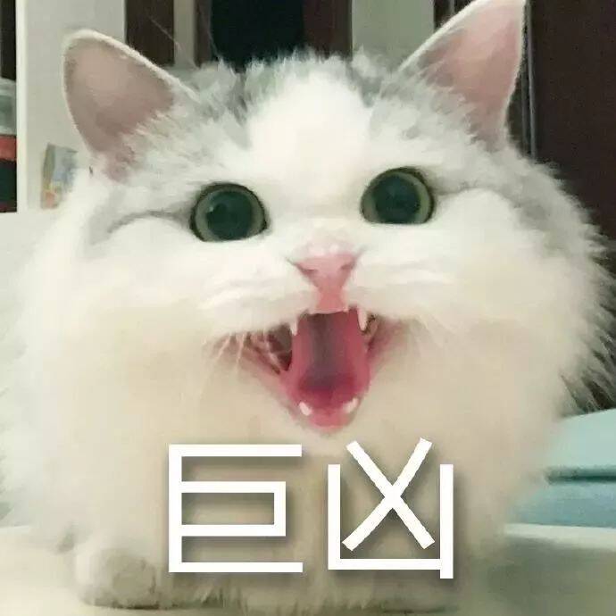 下辈子想做只猫~！