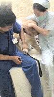 主人送狗子去宠物医院剪指甲，一番折腾之后它被宠物医院加入黑名单.....