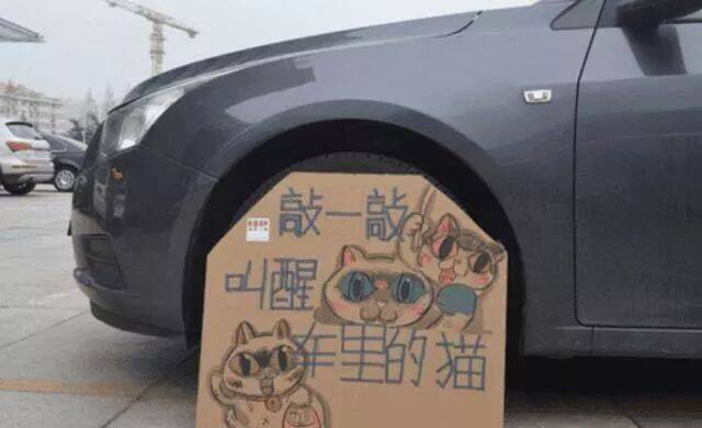 流浪猫:我可能在车子里取暖,请您开车之前一定要先检查一下车子,谢谢您!