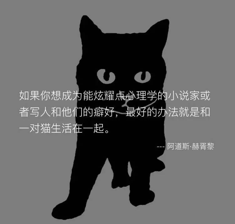 关于喵星人的八大未解之谜！猫奴看完也跪了…