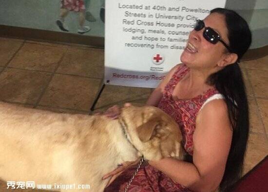 美国一视障女子家中失火 导盲犬拉布拉多拨电话报警