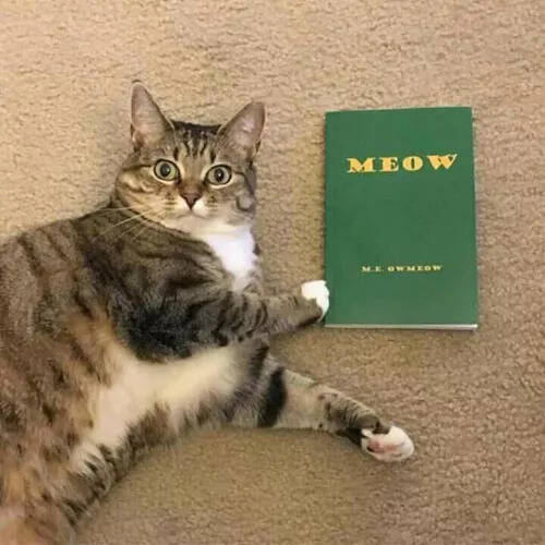 竟然还有专门给猫学喵叫的书，总感觉哪里有问题····