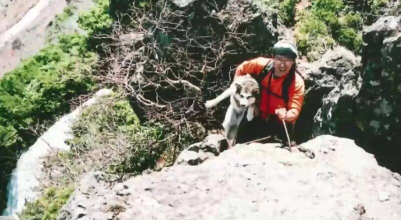 主人登山中遭遇黑熊袭击，狗狗竟用自己做诱饵引走巨熊！