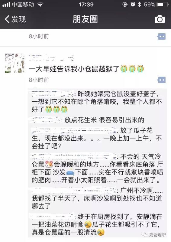 （寻宠小妙招）仓鼠突然越狱了  怎么快速找回它呢？