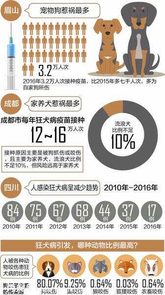 四川狂犬病死亡率100% 宠物狗引发狂犬病比例最高