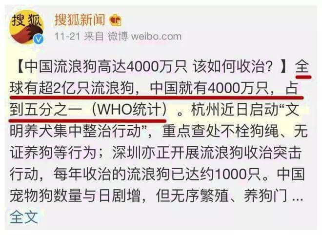 中国有4000万只流浪狗,它们的现状让人触目惊心!