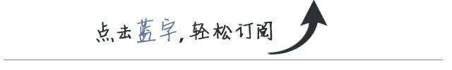 他们为流浪猫准备了「满汉全席」，场面盛况空前！