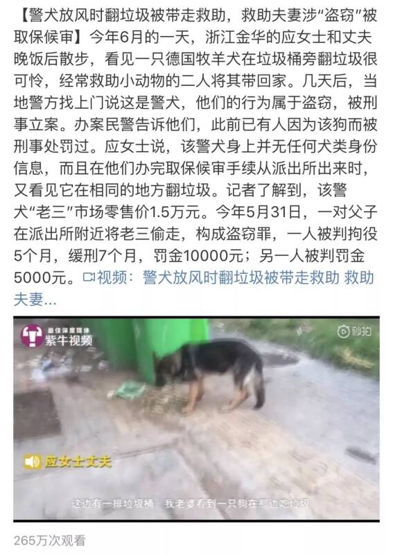 夫妻救助警犬被追责!是救助流浪狗还是盗窃警犬?