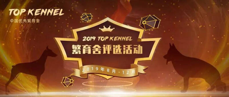 Top Kennel宠物繁育舍评选活动2019年8月-12月