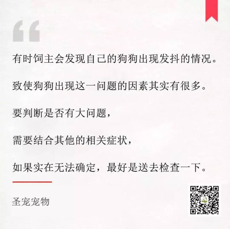 【荐读】宠物犬会发抖的原因有哪些？
