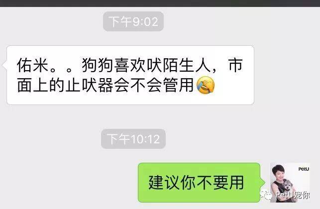 滥用电击止吠器，可能让你的狗狗变得神经质。