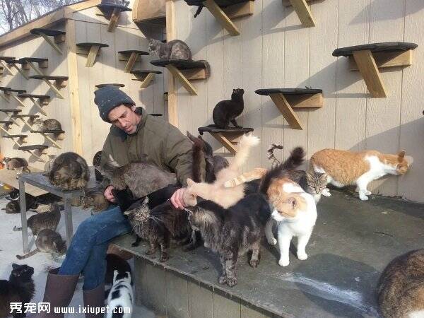 国外男子为纪念过世儿子，收养了300只猫咪！