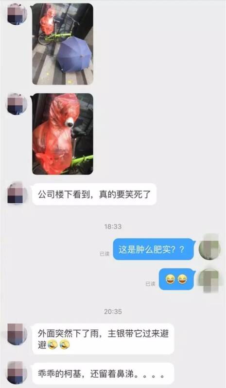 她在公司楼下看到一只狗在避雨，仔细看，简直笑到扶墙走！