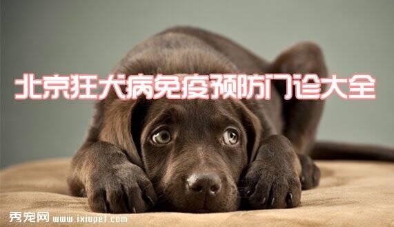 北京狂犬病免疫预防门诊大全，附地址和电话！