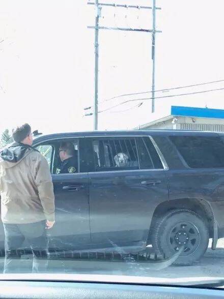 主人听到狗狗被逮捕，他急急忙忙赶到现场，结果.....