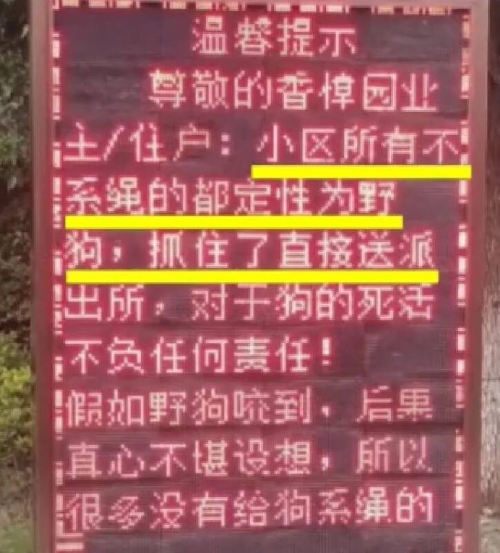 小区所有不系绳的狗狗被定性为野狗，抓住了直接送到派出所？