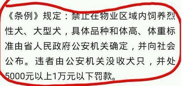 为养金毛主人每天怼物业：你们破事怎么这么多，我又没有错