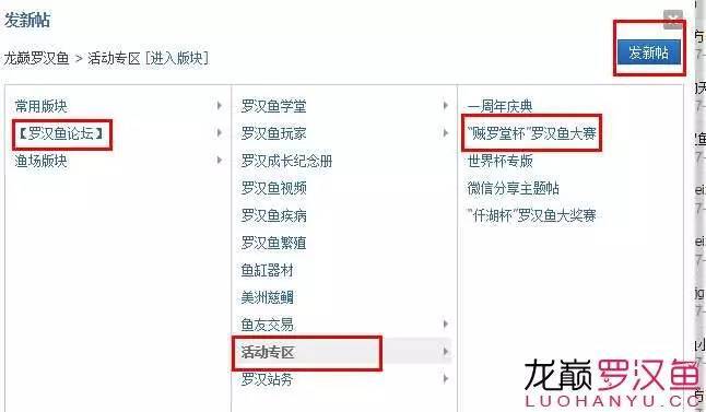 【最后一天】“贼罗堂杯”罗汉鱼大赛报名即将截止