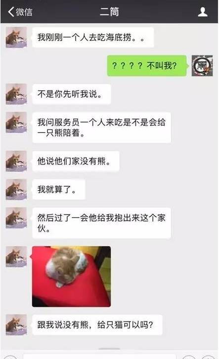 网友独自去海底捞吃火锅，以为会给熊陪，结果送了一只猫...