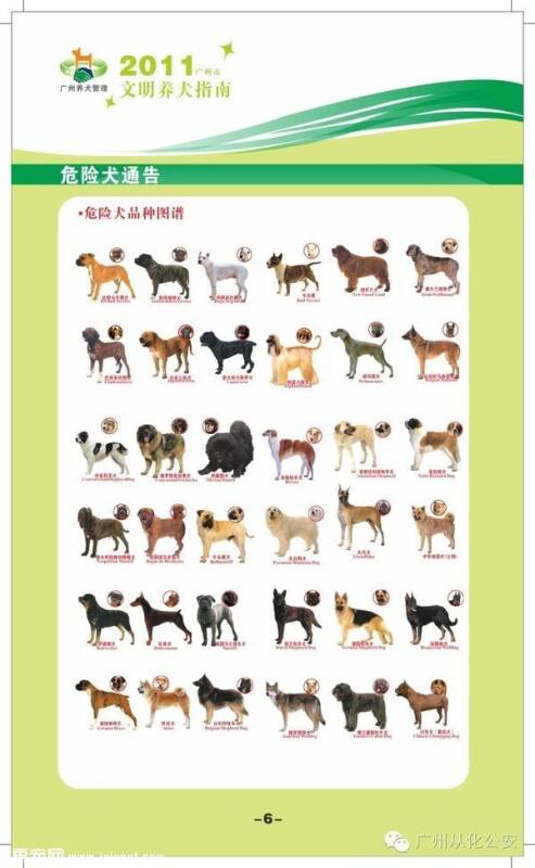 2016最新广州36种禁养犬名单