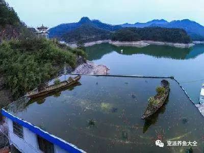 浙江屋顶养鱼建喷泉成为网红，北京老大爷笑了！
