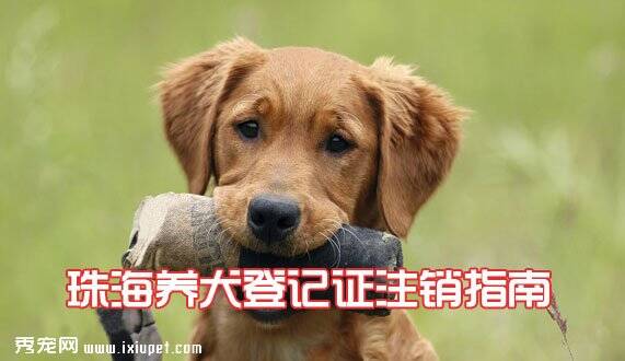 珠海养犬登记证注销指南