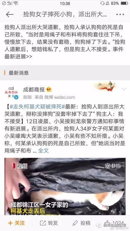 心痛！ 捡狗人疑索酬不成将狗从6楼摔下，摔死无辜小狗引公愤！